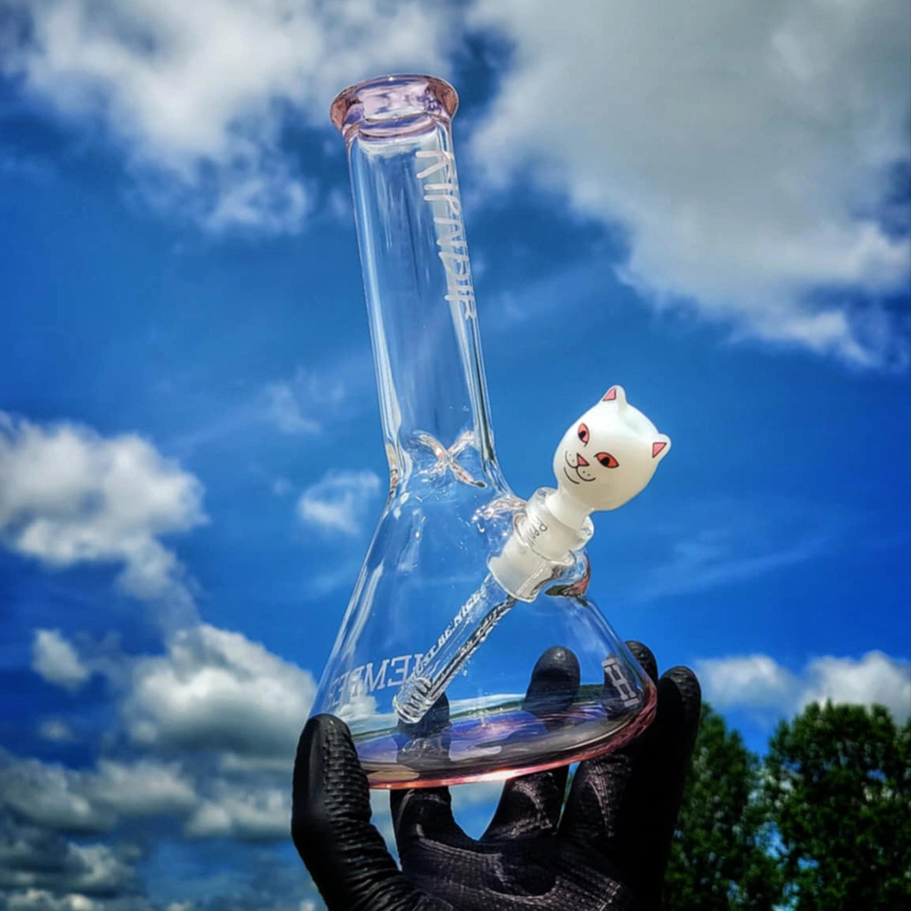"Lord Nermal" Beaker Kit By Rip N Dip