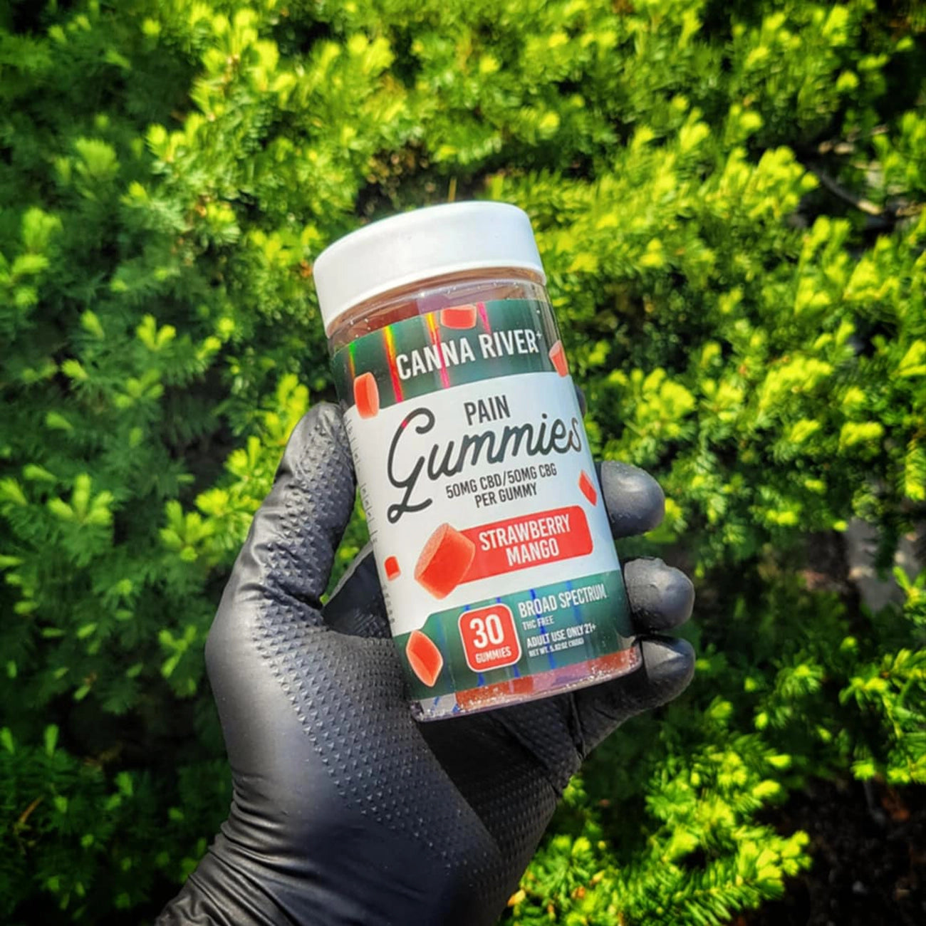 "Strawberry Mango" CBD Pain Gummies By Canna River
