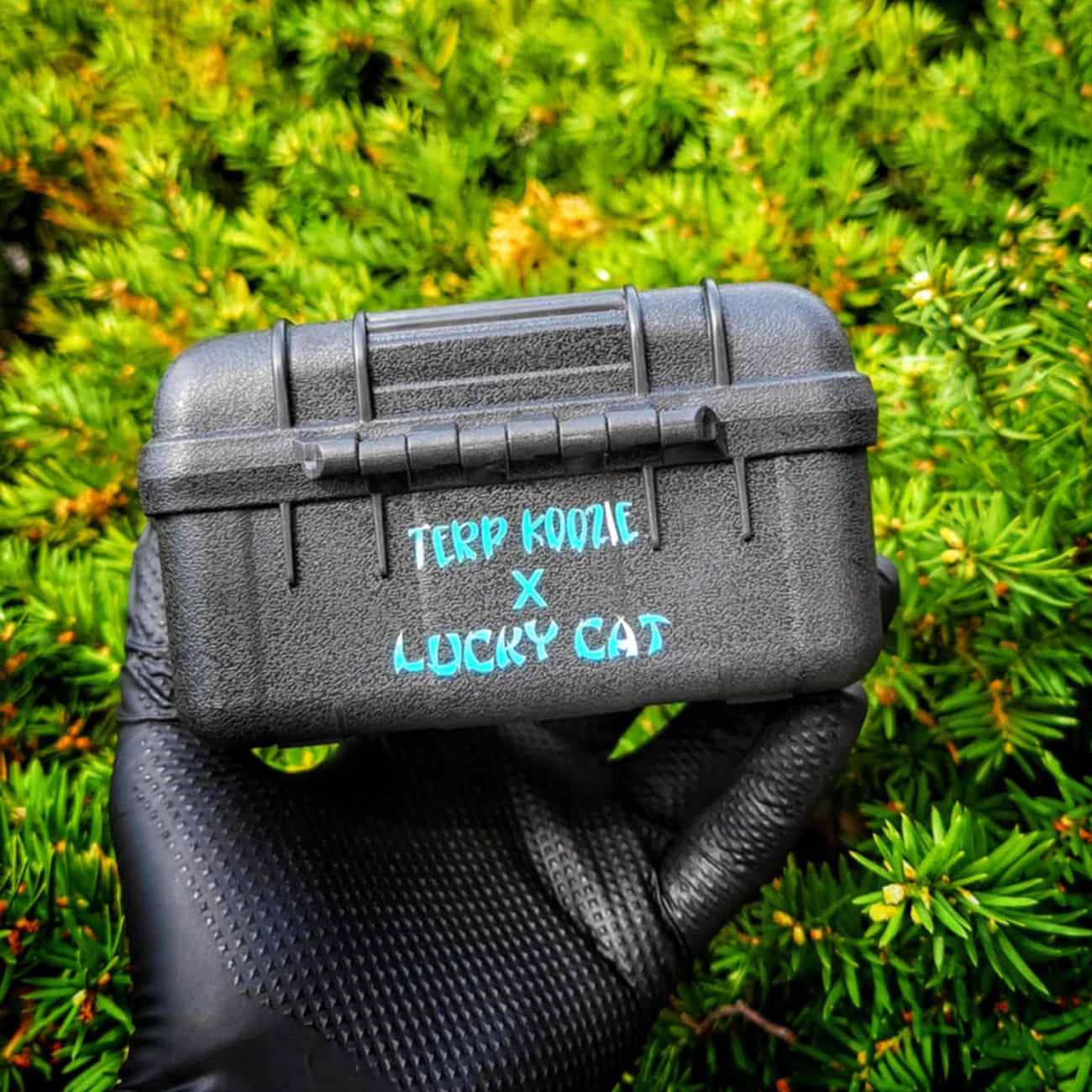 "LE Black & Teal Cat Koozie" Freezeable Case By Terp Koozie