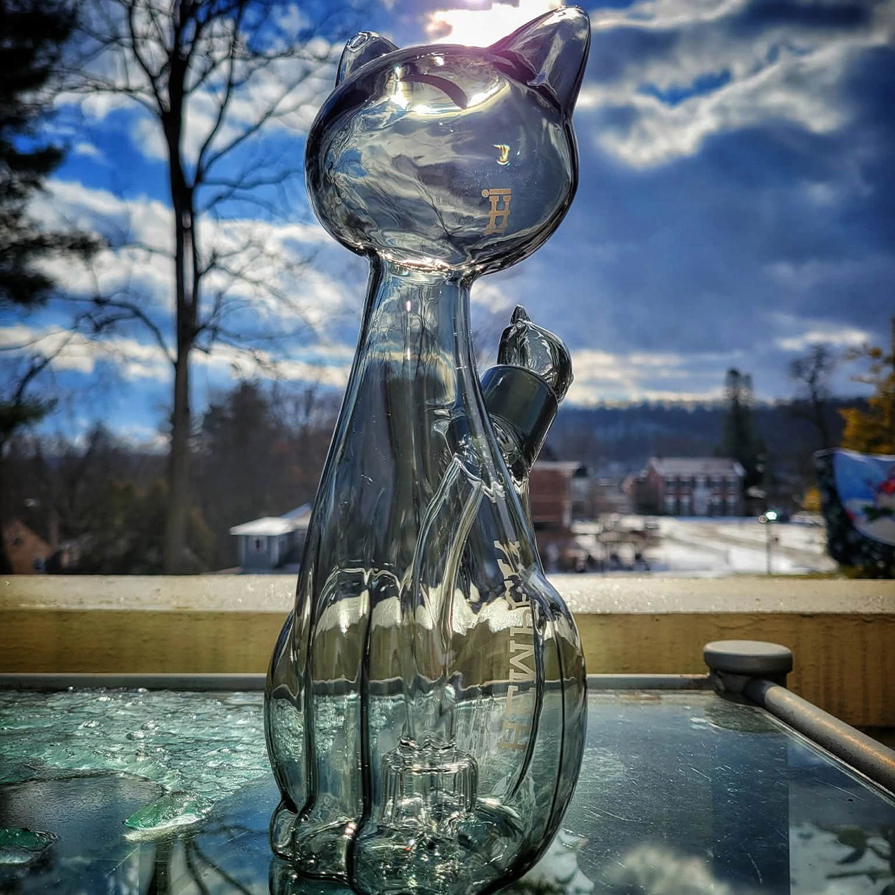 "Alley Cat XL" Waterpipe By Hemper Glass
