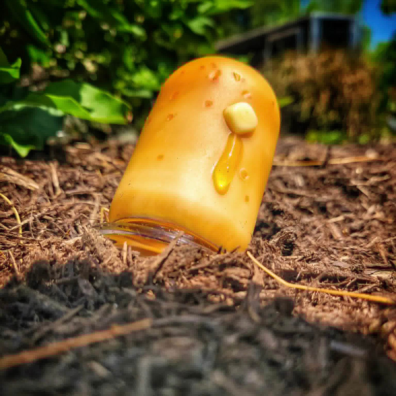 "#1 Butter Potato" Dr. Dabber Switch 2 Top By Alec Blows Glass
