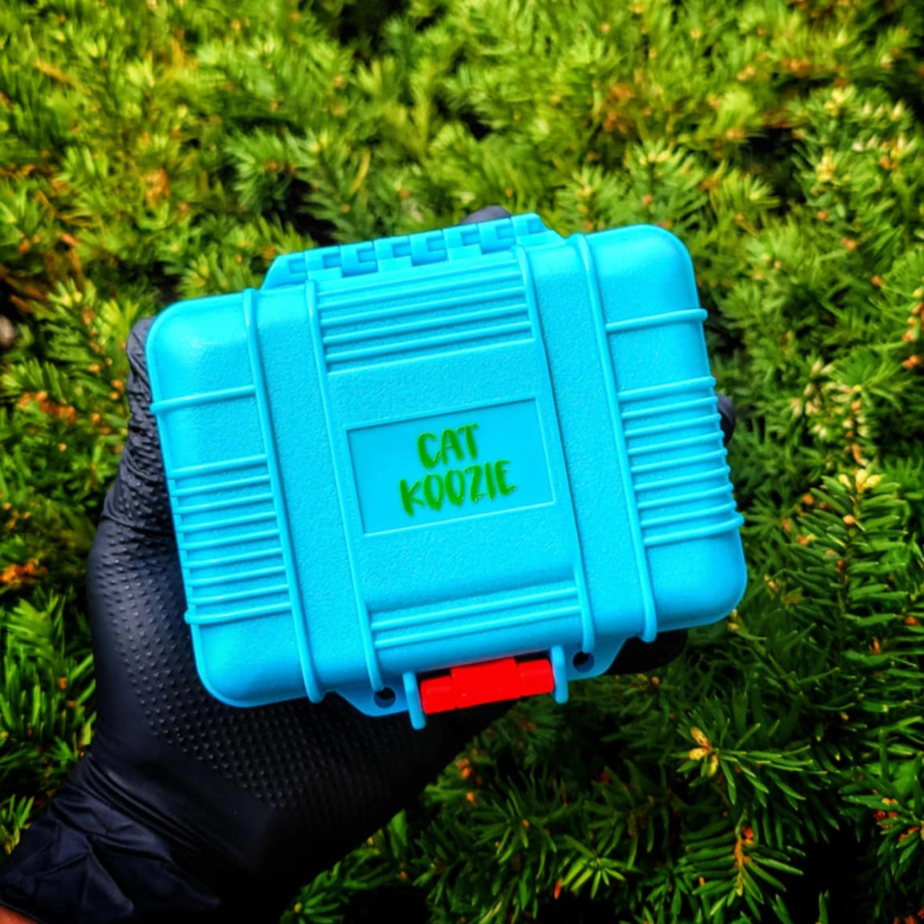 "LE Teal & Green Cat Koozie" Freezeable Case By Terp Koozie