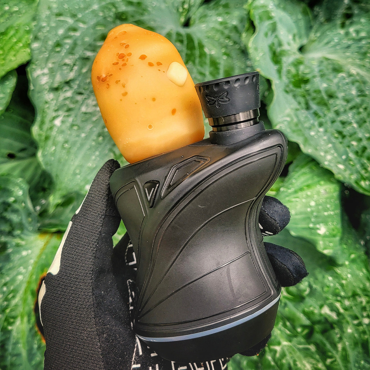 "Buttered Potato" Focus.V Top By Alec Blows Glass