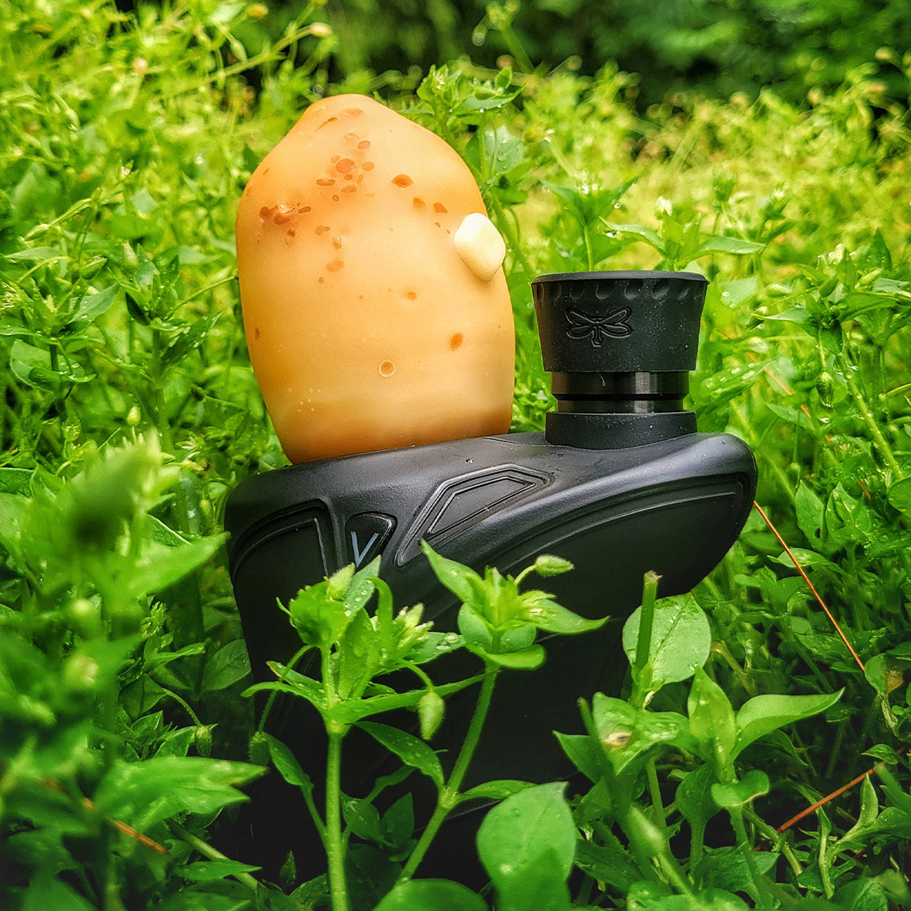 "Buttered Potato" Focus.V Top By Alec Blows Glass