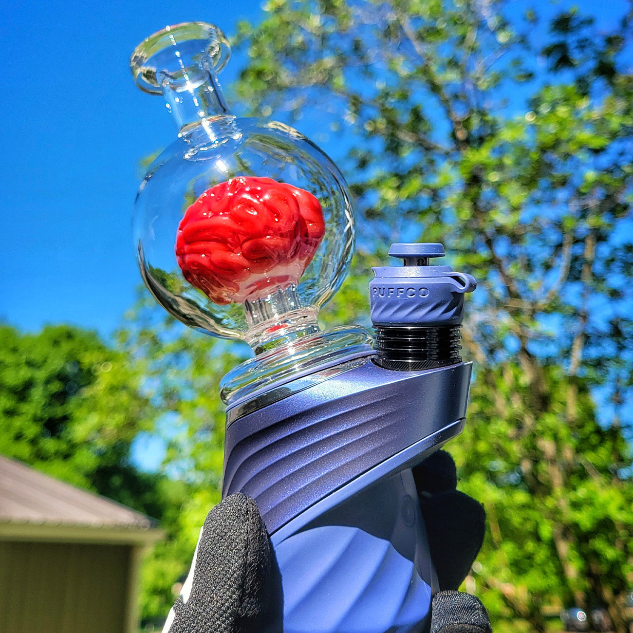 "Brains" Puffco Attachment