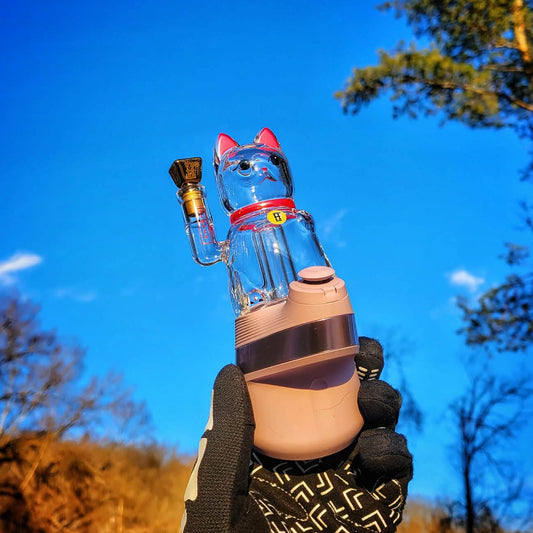 "Lucky Money Cat" Puffco Top By Hemper Glass