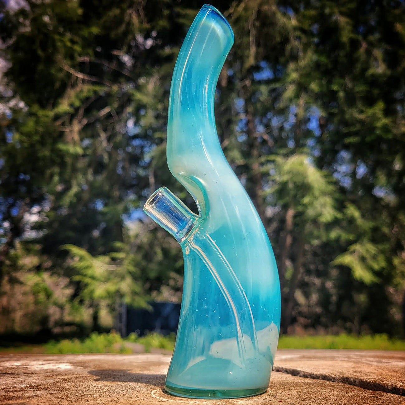 "6" Marina Curved Bottle" 10mm Rig By MC's Glass